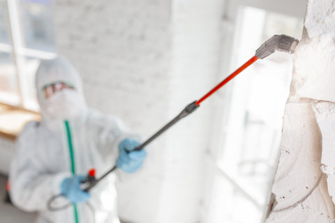Mastering Mold Removal: Effective Methods for a Healthier Home